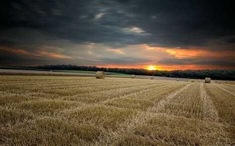 Sfondi Luce Del Sole Paesaggio Cibo Tramonto Natura Cielo Campo