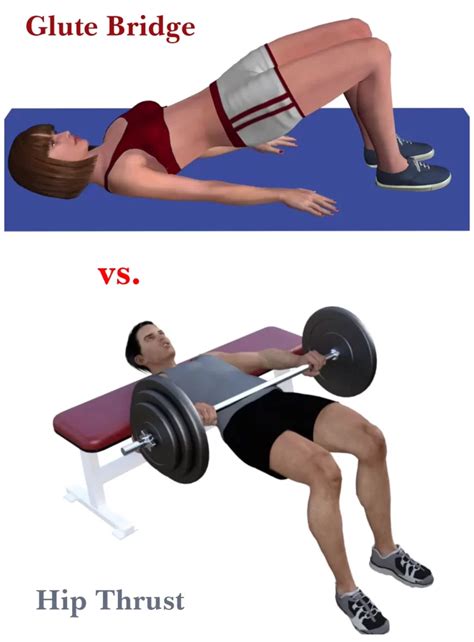 Glute Bridge Vs. Hip Thrust: Which Is Best For Glutes - 2024