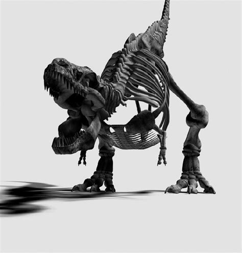 Dinosaur Skeleton Wallpapers on Ewallpapers