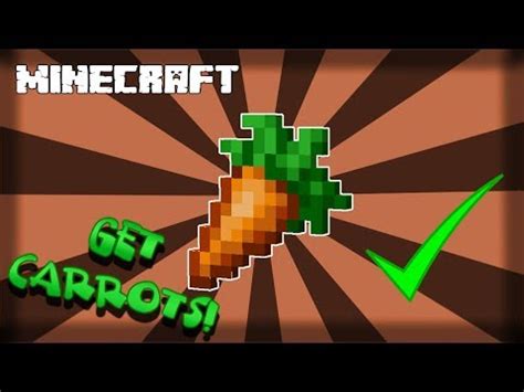 How To Find Carrots In Minecraft All Versions