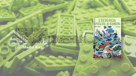 L Ecologia Spiegata Ai Bambini Con Marco Rizzo Youtube