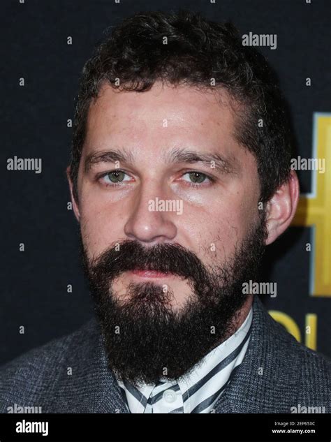 Beverly Hills Los Angeles California Usa November 03 Actor Shia