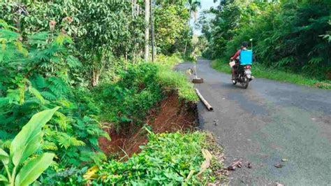 Waspada Bahu Jalan Cigugur Pangandaran Longsor Pengendara Diminta