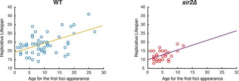 Figures And Data In Age Dependent Aggregation Of Ribosomal Rna Binding