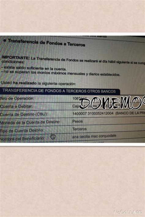 Blonde Blonde P Twitter