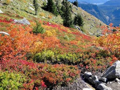 Fall Colors in Washington State 2010 : Photo Albums : SummitPost