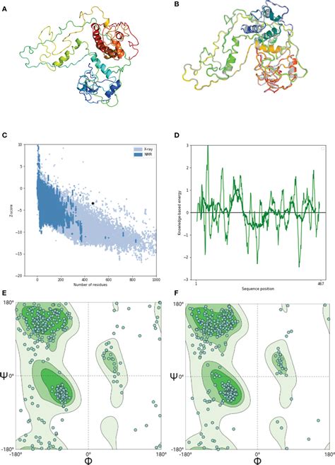 Frontiers Design Of A Multi Epitope Vaccine Against Goatpox Virus