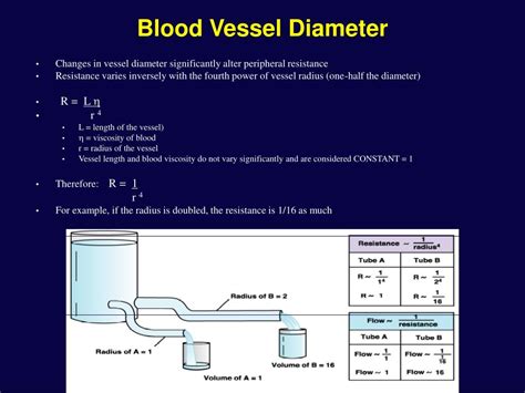 Ppt Vascular Physiology Powerpoint Presentation Free Download Id