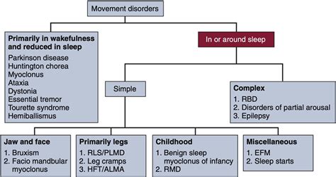 Sleep And Epilepsy Clinical Spectrum And Updated Review Sleep