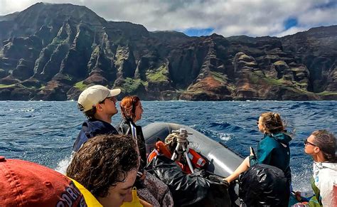 8 Incredible Kauai Snorkeling Tours - Uprooted Traveler