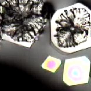 Crystallization Demonstration