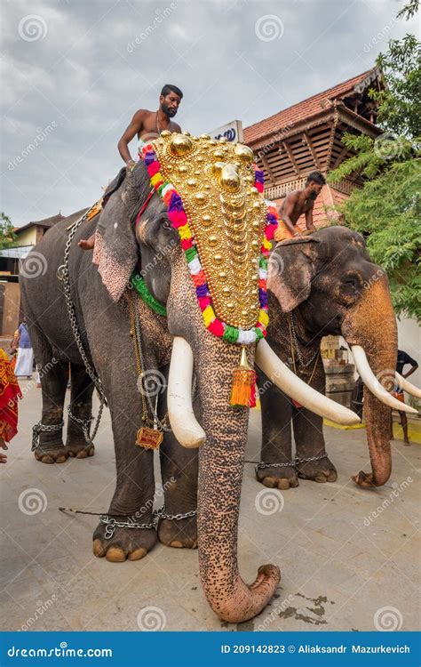 Kerala Temple Elephant