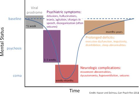 Figure 1 From Anti Nmda Receptor Encephalitis Autoimmunity And Psychosis Semantic Scholar