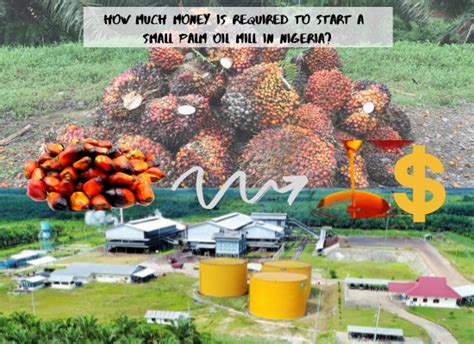 How Much Money Is Required To Start A Small Palm Oil Mill In Nigeria