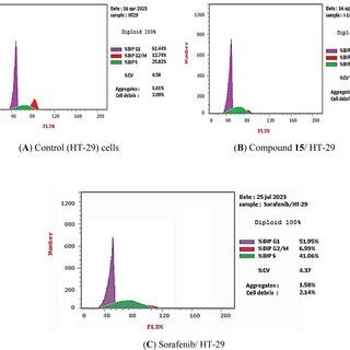 Cell Cycle Distribution Of Ht Cells As Determined By Flow Cytometry