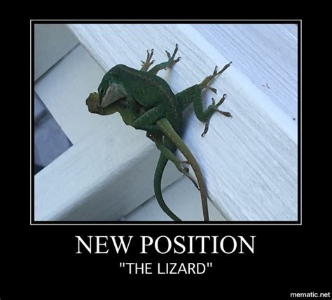 All Right Lizard Memes Funny