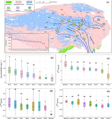 Root Uptake Dominates Mercury Accumulation In Permafrost Plants Of