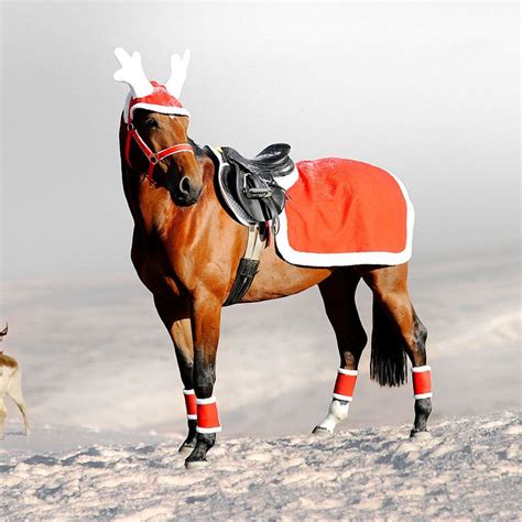 Christmas Horses Horse Costumes Cute Horses