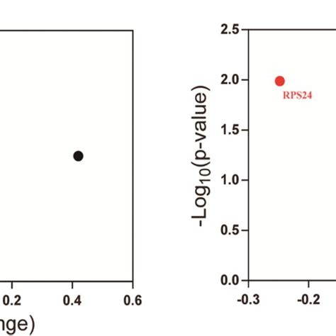 Knock down of RPS24 with siRNA inhibits the cell proliferation in both ... 