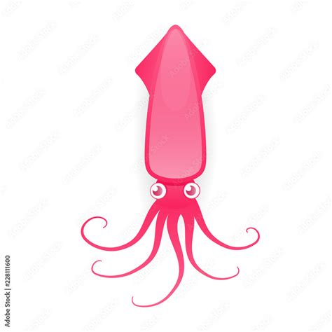 Squids Clip Art Library