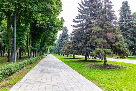 A Path Of Paving Slabs In A Park Stock Photo Image Of Park Grass