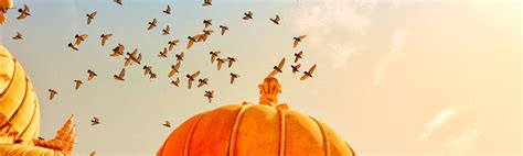 Golden Triangle Tour - India Tour Holidays