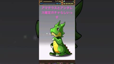 パズドラ ガチャ動画part76 │ 2024 おすすめアプリゲーム動画配信まとめ