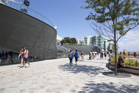 Narchitects Pierscape Re Shaping Chicago Navy Pier Hic