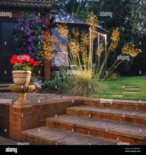 Ornamental grass border hi-res stock photography and images - Alamy