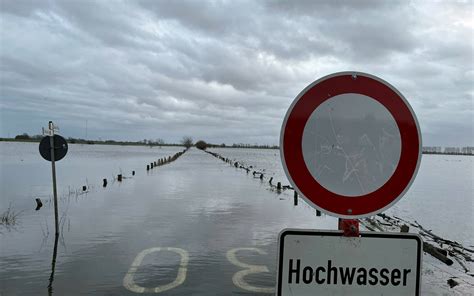 Rhein-Hochwasser 2023: Pegel sind über Weihnachten gestiegen