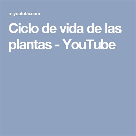 The Words Ciclo De Vida De Las Plantas Youtubee Are In White