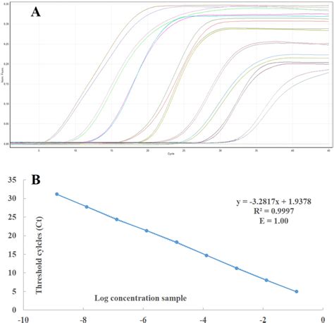 Standard Curve And Linear Regression Of Real Time Rt Pcr A Standard