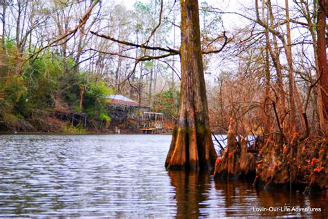 Lovin-Our-Life Adventures: Atchafalaya National Wildlife Refuge, Louisiana