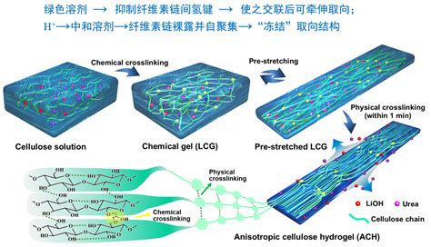 武汉大学张俐娜院士课题组在高强度纤维素水凝胶领域取得一系列成果