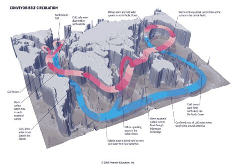 Thermohaline Circulation Diagram