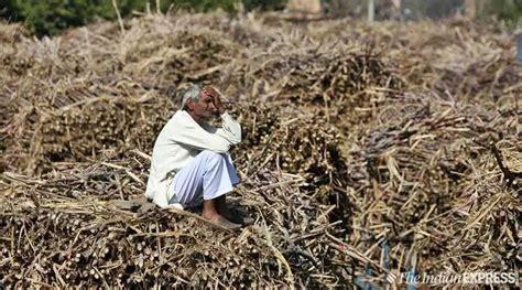 12021 Farmer Suicides In Maharashtra In Four Years India News The Indian Express