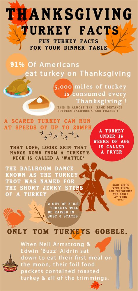 + Facts about thanksgiving turkey