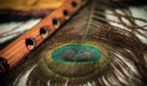 Flute With Peacock Feather Wallpaper