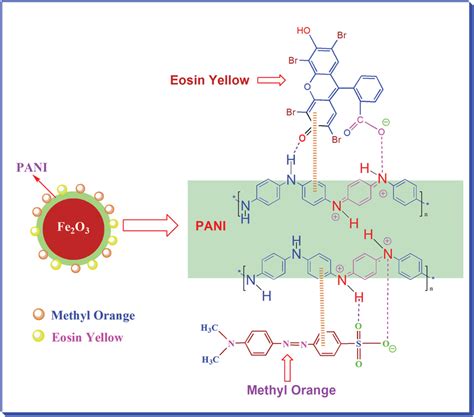 The Schematic Representation Of Probable Interactions Of Methyl Orange Download Scientific