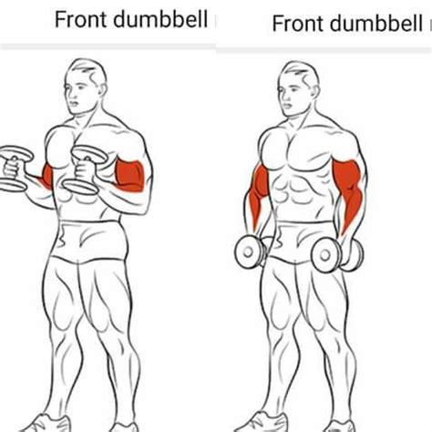 Gym Workout Tips, Dumbbell Workout, Arm Workout, Fun Workouts, Workout ...