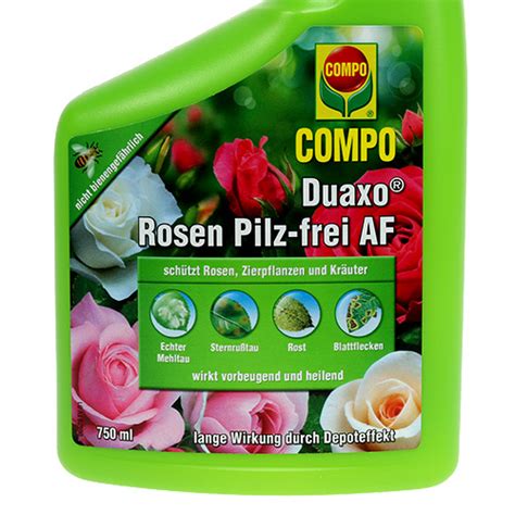 Floristik De Compo Duaxo Rosen Pilzfrei Af Fungizid Ml