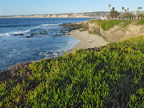 Boomer Beach The La Jolla Tide Pools California