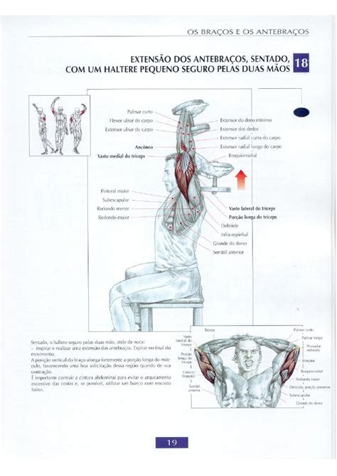 Guia dos Movimentos de Musculação Body Reference Anatomy Reference