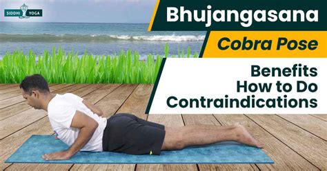 Details 76 Benefits Of Cobra Pose Yoga Super Hot Nanoginkgobiloba Vn