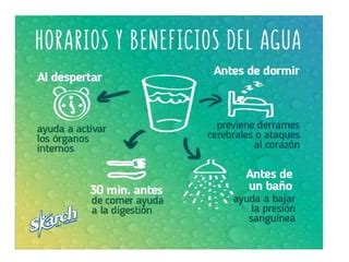 El agua en la naturaleza | PPT