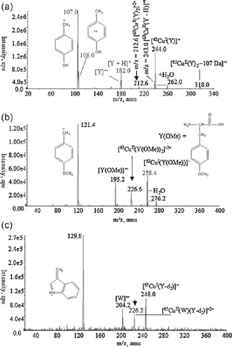 Figure 1 From A Comparison Of The Fragmentation Pathways Of [cu Ii Ma Mb ]•2 Complexes Where