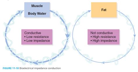 NASM Chapter 11 Flashcards | Quizlet