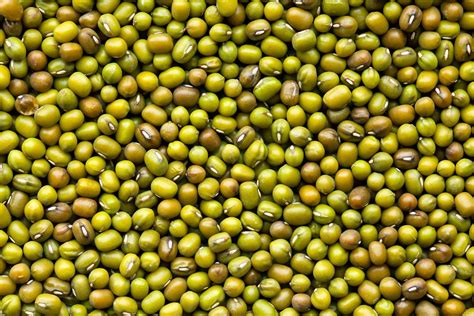 Organic Mung Beans Bulk Organique Foods