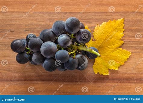 Uvas Pretas Maduras Folha De Videira Amarela No Quadro De Madeira