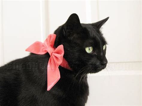 Lady Cat Bow Choose Your Own Satin Etsy Cat Bow Puppies And